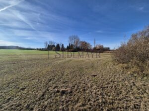 Ansicht Grundstück 4