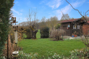 Blick in den Garten 1