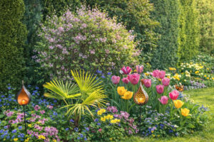 Gartenglück im Frühling