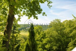 Blick vom Balkon