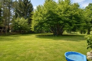 Ansicht Garten 9