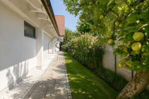 Ansicht Garten 4