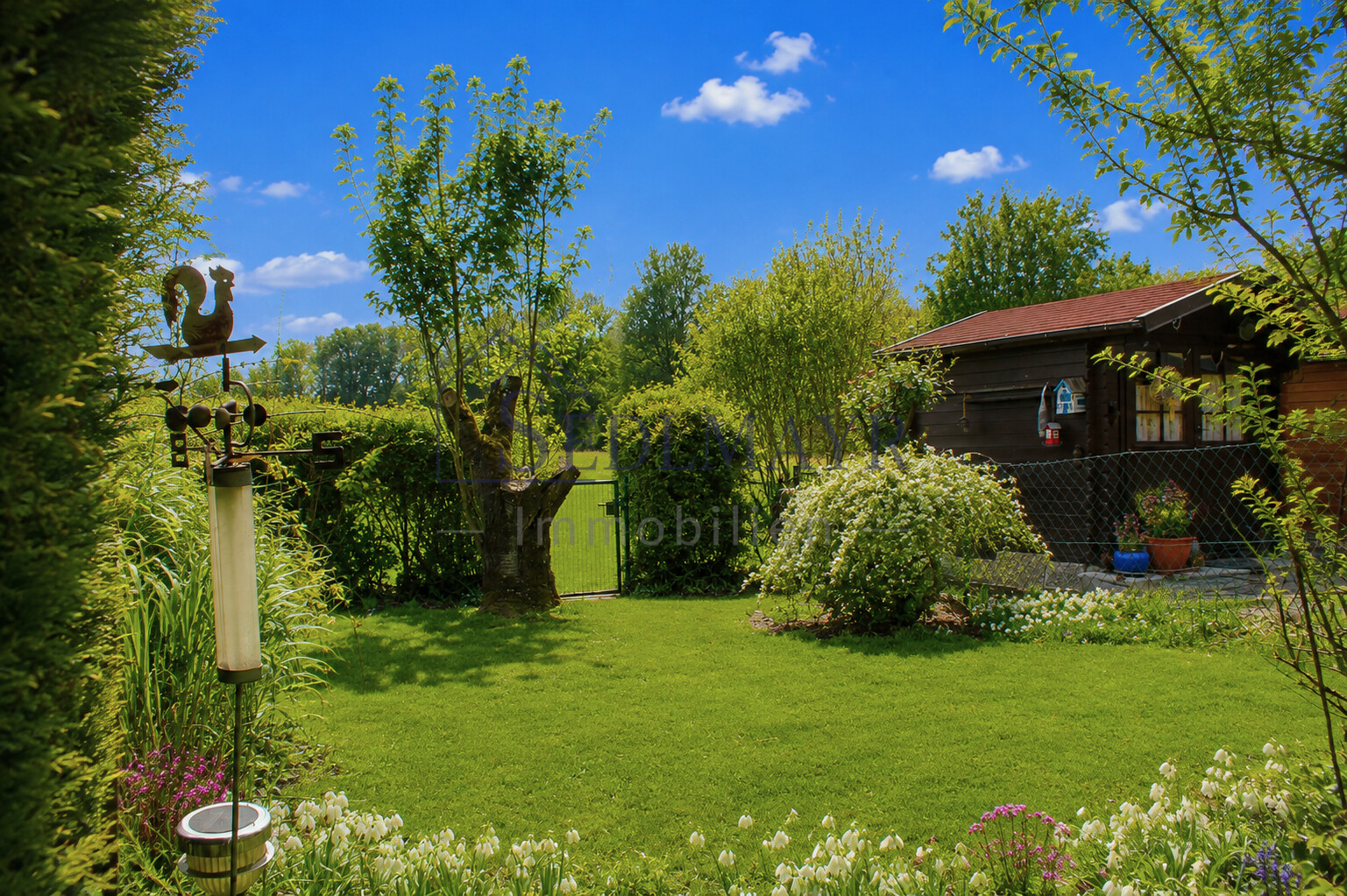 Blick in den Garten