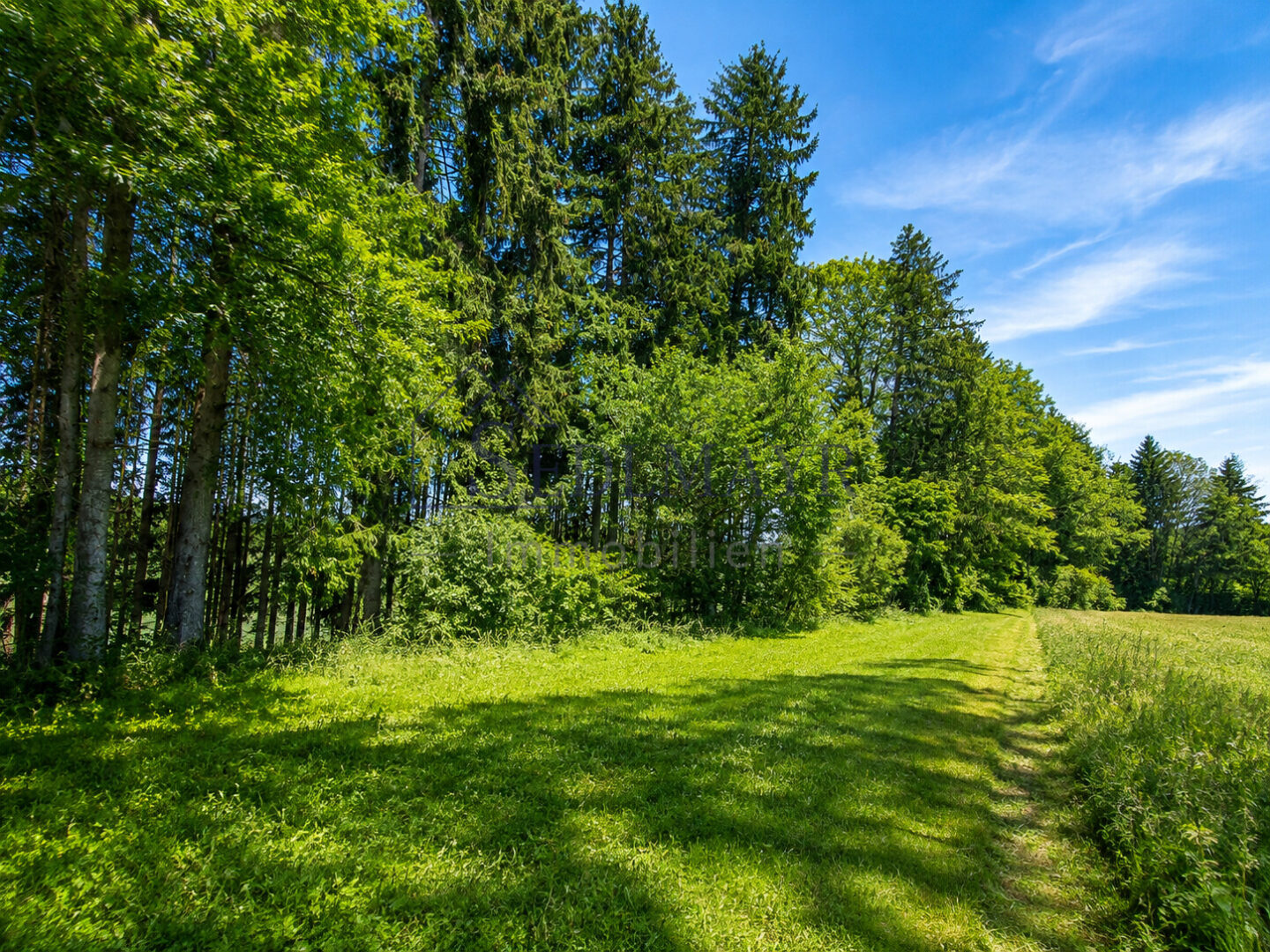 Ansicht 3