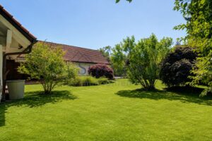 Ansicht Garten 7
