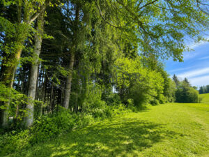 Ansicht 1