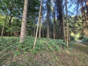 Ansicht 1