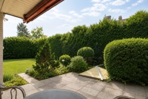 Ansicht Terrasse 4