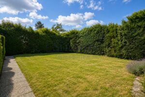 Ansicht Garten 4