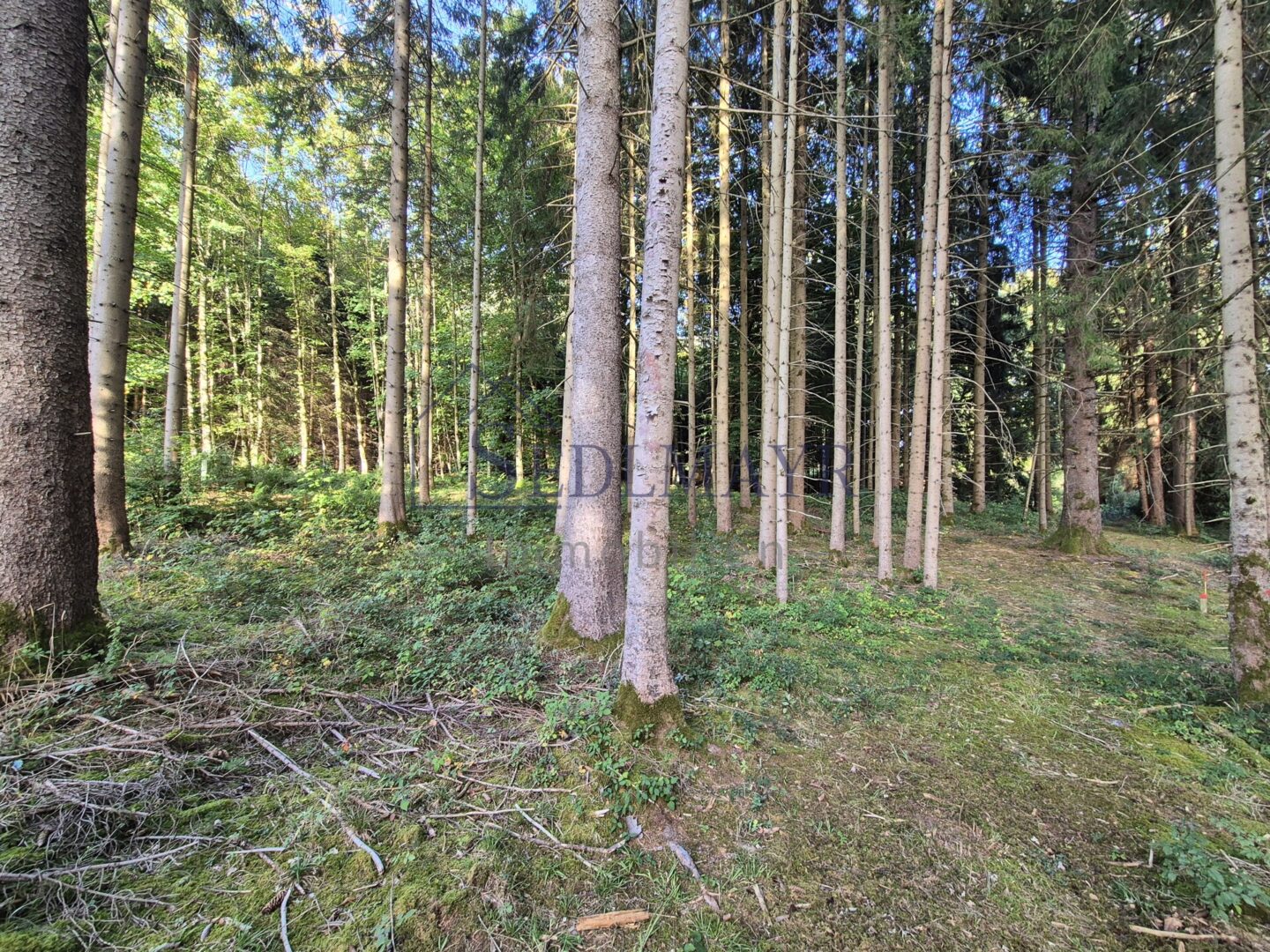 Ansicht 3